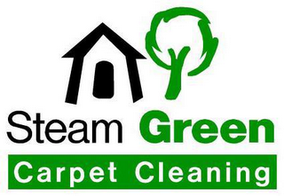 STEAM GREEN CARPET CLEANING logo