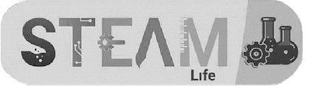 STEAM LIFE