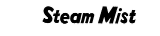 STEAM MIST logo
