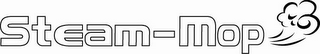 STEAM-MOP logo