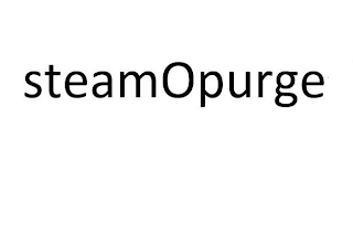STEAM OPURGE logo