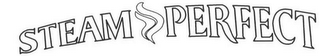 STEAM PERFECT logo