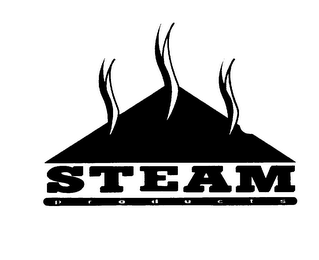 STEAM PRODUCTS logo