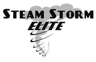 STEAM STORM ELITE logo