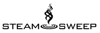 STEAM SWEEP logo