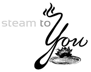 STEAM TO YOU logo