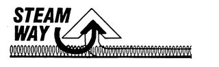 STEAM WAY logo