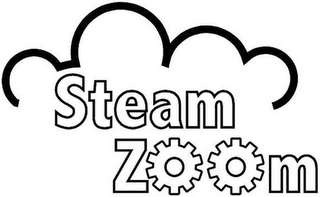 STEAM ZOOM logo