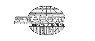 STEAMATIC CARPET CLEANING