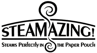 STEAMAZING! STEAMS PERFECTLY IN THE PAPER POUCH logo