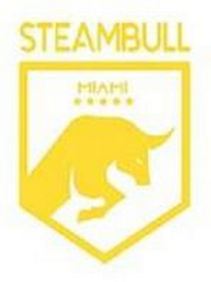 STEAMBULL MIAMI logo