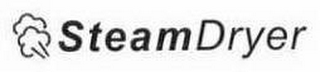 STEAMDRYER logo