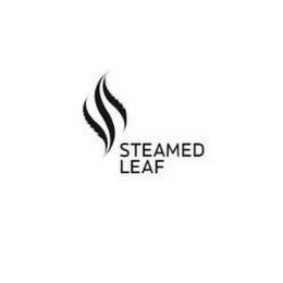 STEAMED LEAF logo