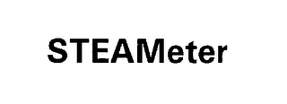STEAMETER logo