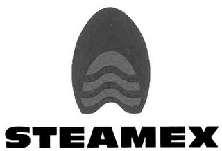 STEAMEX logo