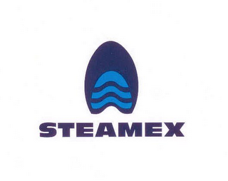 STEAMEX logo