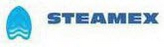 STEAMEX logo
