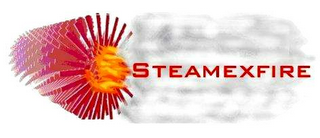 STEAMEXFIRE logo