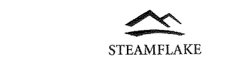 STEAMFLAKE logo