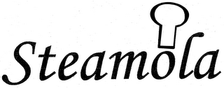 STEAMOLA logo