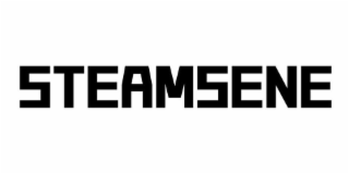 STEAMSENE logo