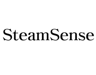 STEAMSENSE logo