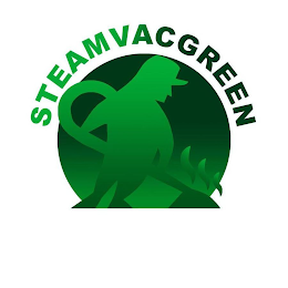 STEAMVACGREEN logo