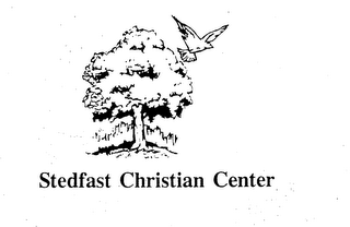STEDFAST CHRISTIAN CENTER logo