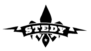 STEDY logo