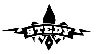 STEDY logo