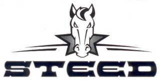 STEED logo