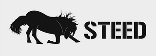 STEED logo