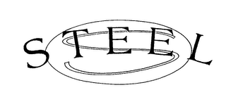 STEEL logo