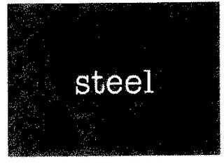 STEEL logo