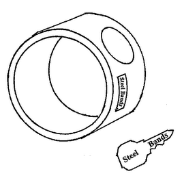 STEEL BANDS logo