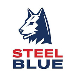 STEEL BLUE logo