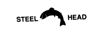 STEEL HEAD logo
