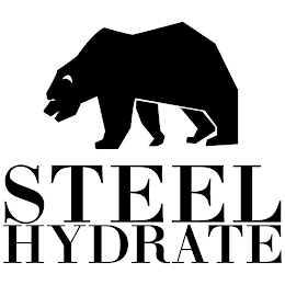 STEEL HYDRATE logo