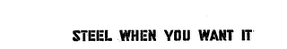 STEEL WHEN YOU WANT IT logo