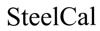 STEELCAL logo