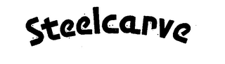 STEELCARVE logo