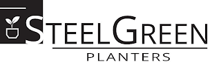 STEELGREEN PLANTERS logo