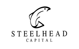 STEELHEAD CAPITAL logo
