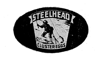 STEELHEAD CLUSTER EGGS logo