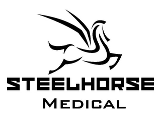 STEELHORSE MEDICAL logo