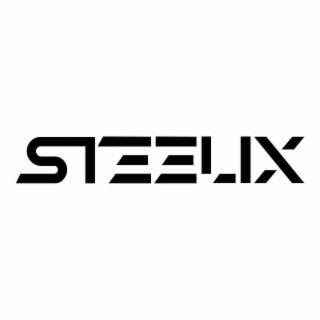 STEELIX logo