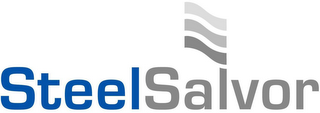 STEELSALVOR logo