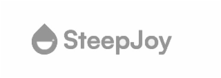 STEEPJOY logo