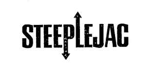 STEEPLEJAC logo