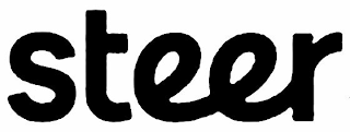 STEER logo